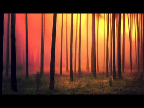 nExow & JacM - Serenity