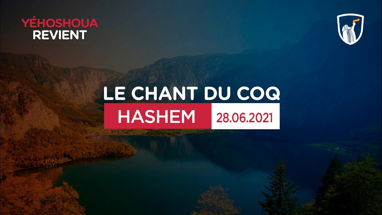 Thumbnail of video: HASHEM