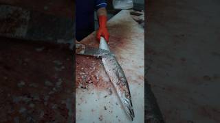 Download lagu Better Than a Machine? Watch This Fish Cutter Work mp3