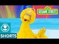 Sesame Street Journey To Ernie Penguins