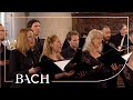 Bach Motet Komm Jesu Komm BWV 229 MacLeod Netherlands Bach Society