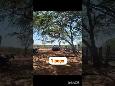 Área em Ibipeba Bahia