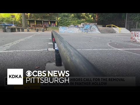 Neighborhood group calls for removal of Panther Hollow skate park