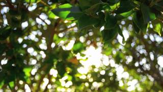 "Holy Lord..." by Murder by Death