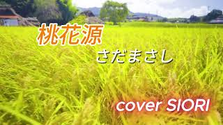 桃花源(さだまさし🎵）ギター弾き語りcover SIORI