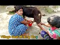Village Goat Milking Vlog Part 2