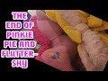 The End Of Pinkie Pie And Fluttershy First Version Of The Mascots Anyway