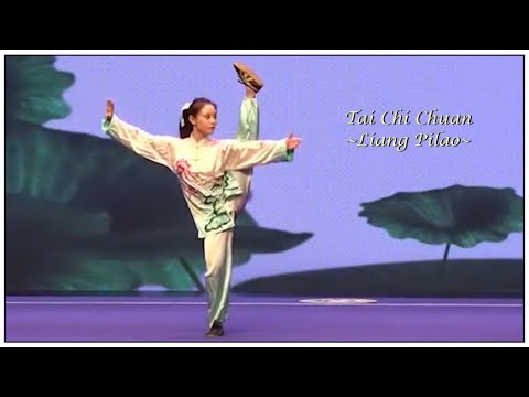 Absolutely Stunning Tai Chi performance by Liang Pilao