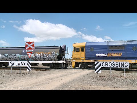 7733V Standard Gauge Pacific National Grain Train With WGBY & WGSY Hoppers (6/12/2023) - PoathTV