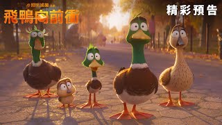 【飛鴨向前衝】精彩預告 -  2月8日 農曆春節 歡樂首選