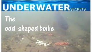 underwater carp fishing, the odd shaped boilie