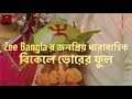 Dipanwita Choudhury Bikele Bhorer Phool Mega Serial Song Famous Bengali Mega Serialsong