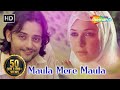 मौला मेरे मौला Maula Mere Maula Anwar 2007 Siddharth Koirala Nauheed Cyrusi 