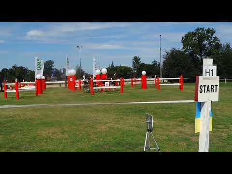 Fahrturnier Ostenfelde 15.8.2021