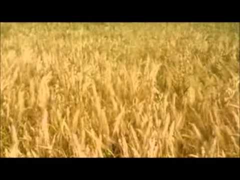 Kanon "Hejo, spann den Wagen an" acapella