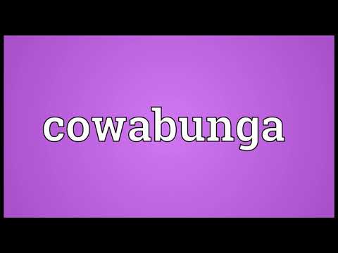 Cowabunga Meaning