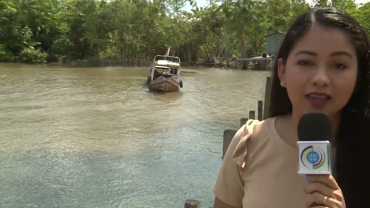 Conheça as Ilhas de Ananindeua PA