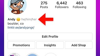 How to Add Pronouns to Instagram Bio (she, he, her, him, etc.)