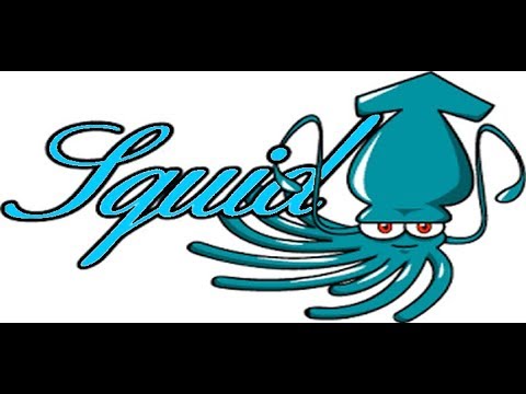 Squid web. Squid 3. Squid3 web интерфейс. Squid web. 5.