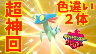 【神回】ドラメシヤの色違いが２匹現われる！ポケモンソード、シールド