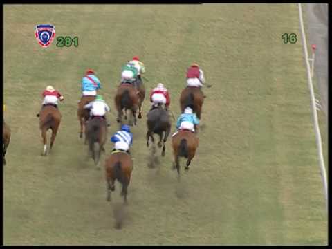 28th MEETING 2016 -  Race 01