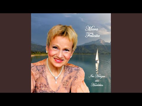 Und-Die-Schwarzen-Hütten-Schweigen