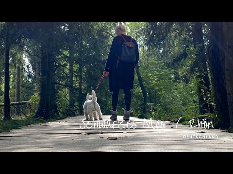 Schwarzes Moor | Rhön