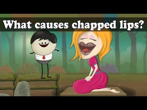 什麼原因導致嘴脣皸裂？| 脣膏 (What causes chapped lips? | #aumsum)