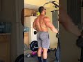 Dumbbell lateral raises