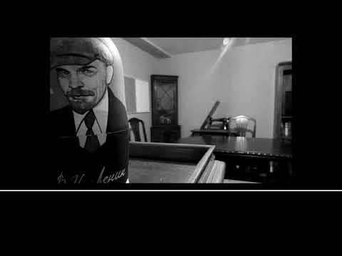 Operation Beehive at Escape Rooms Wellington