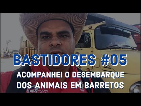 BASTIDORES 05 | Acompanhei o desembarque de animais na Festa do Peão de Barretos