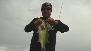 preview picture of video '19.5 4.5lbs Largemouth Bass off a boat dock - HD Quality'