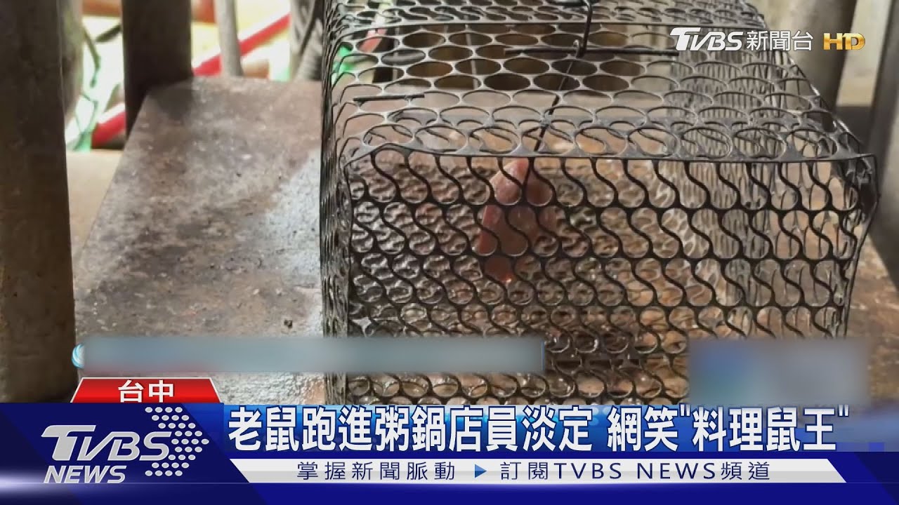台中小吃店鍋中驚見「活老鼠」 民眾嚇壞:看完真的不敢吃