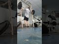 Front squats