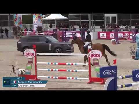 Crooner Tame - Nancy - Avril 2025