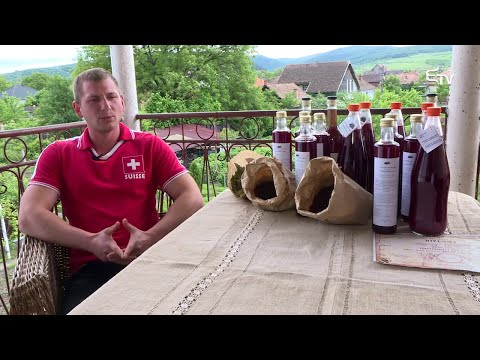 hogyan lehet megszabadulni a ribizli parazitáitól