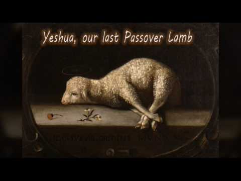 Luke 6 39 Tehillim 92 3 Mattityahu 23 15 Yochanan 15 20 27 Tehillim 69 4 Yochanan 21 17 Tehillim 119