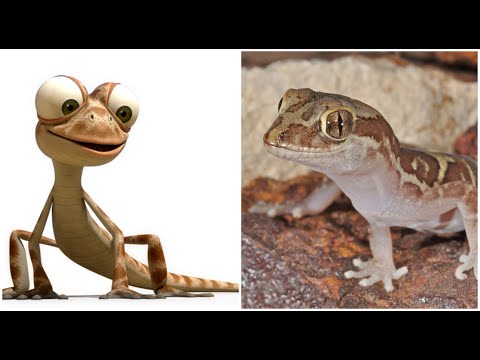 Oscar's Oasis Characters  In Real Life