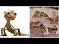 Oscar S Oasis Characters In Real Life