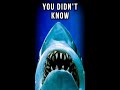 3 Things You Didn T Know About JAWS Shorts
