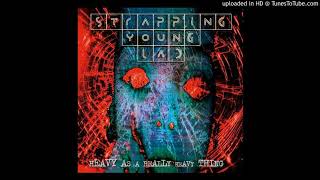 Strapping Young Lad - 01 - S.Y.L.