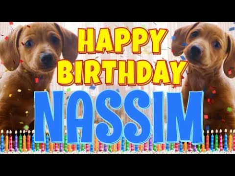 Happy Birthday Nassim! ( Funny Talking Dogs ) What Is Free On My Birthday