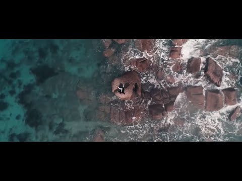 Fang The Great - GALLEON (Official Video)