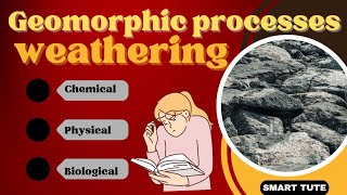 Weathering | Chemical, Physical and Biological Weathering | Class 11 Chapter 6 Geomorphic Processes