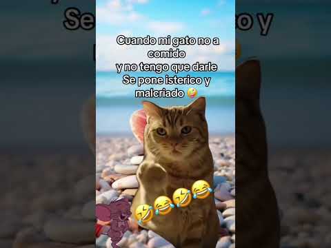 23 de agosto de 2025