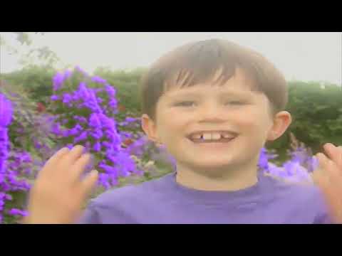 Teletubbies Series 7, Episode 1: Colours - Purple