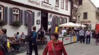 preview picture of video 'Altstadtfest Babenhausen 2014 Schwartzer Löwe'