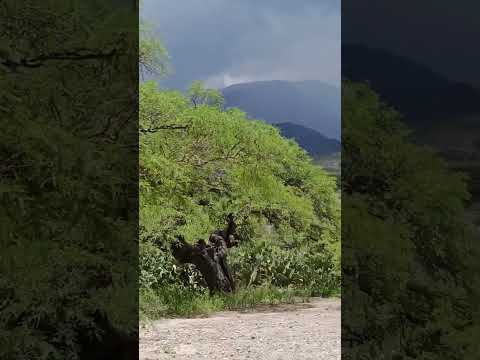 Ese bello Cielo en paraje EL TIO en Amaicha del valle - Tucumán #lluvia 30/12/25
