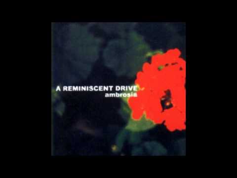 A Reminiscent Drive - What's Your Style?
