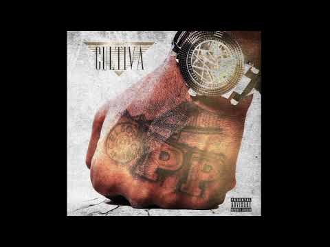 Celso OPP - Reality Check